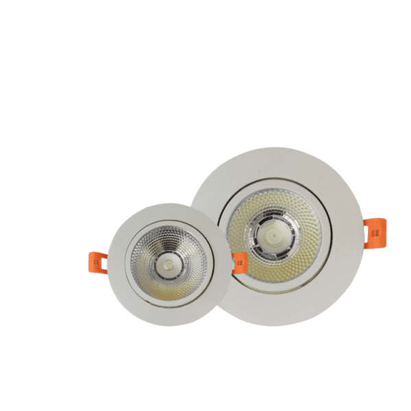 DS-B819-2