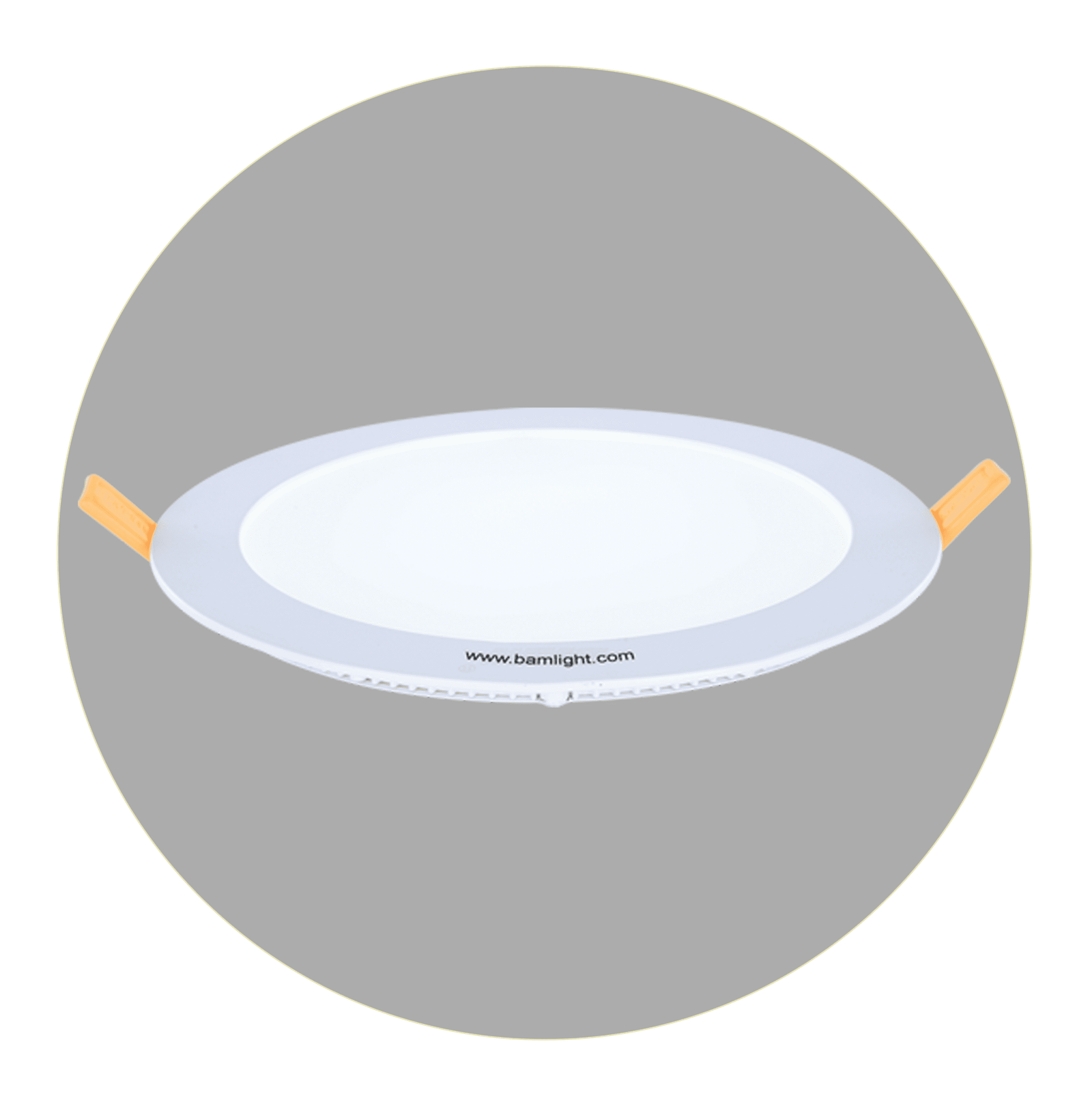 Panel light