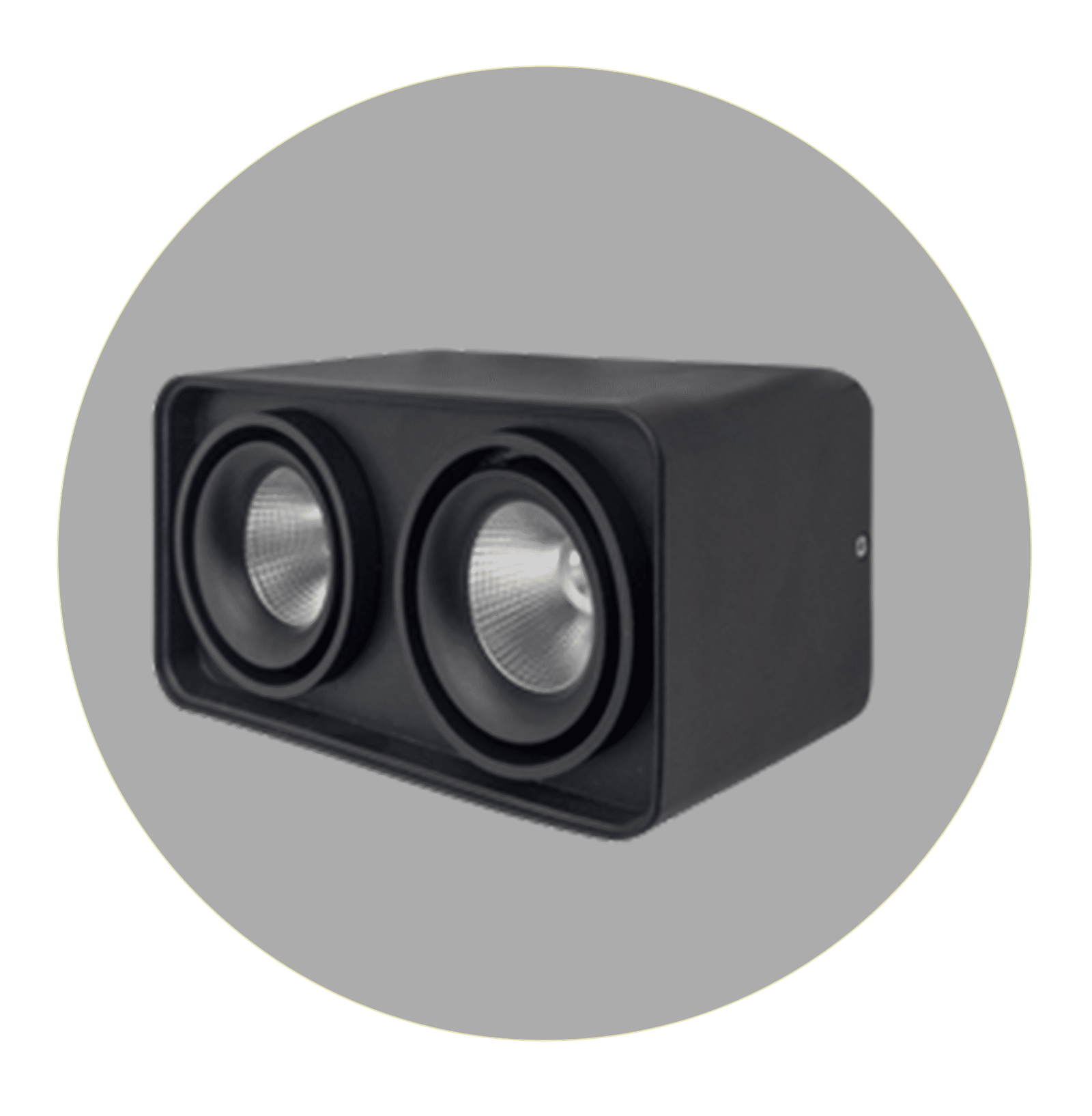 Surface Mounted Downlight