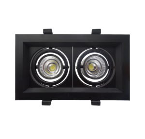 DS-D302​